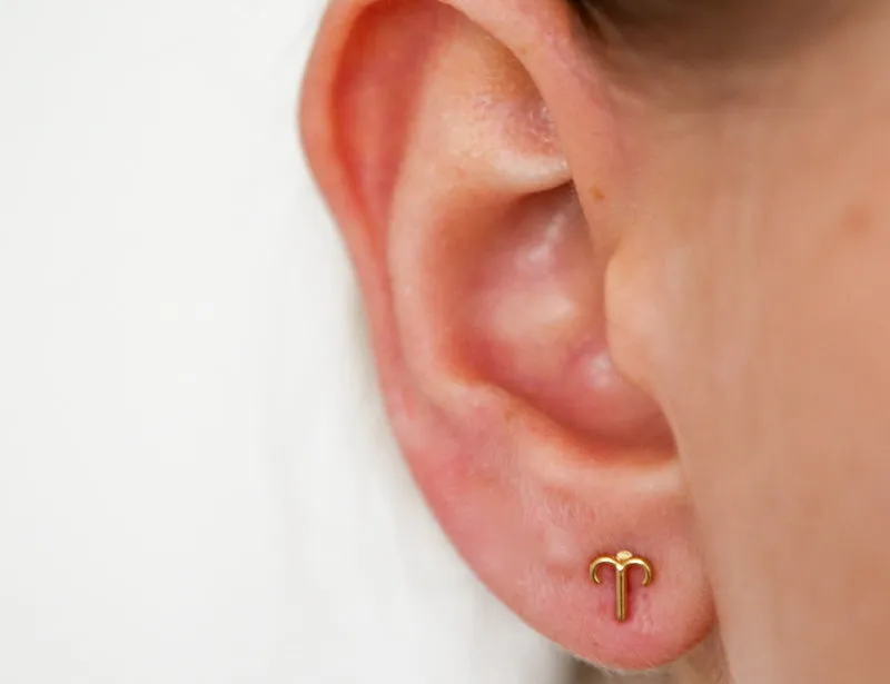 Aries Zodiac Studs